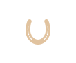bullet_06
