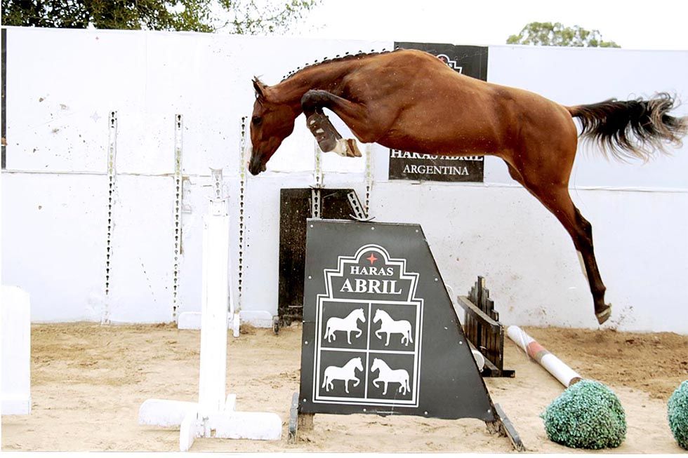 04_ABRIL_MAIKEEP_jump
