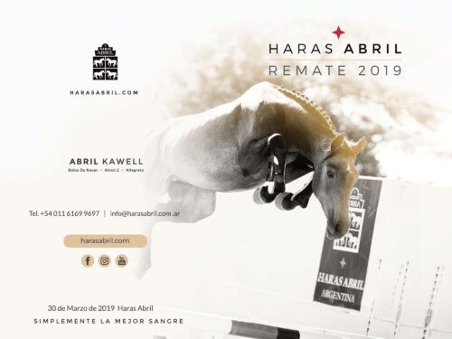 Remate 2019