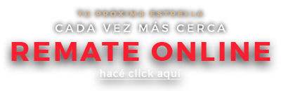 Tu próxima estrella cada vez mas cerca - Remate online - hacé click aquí