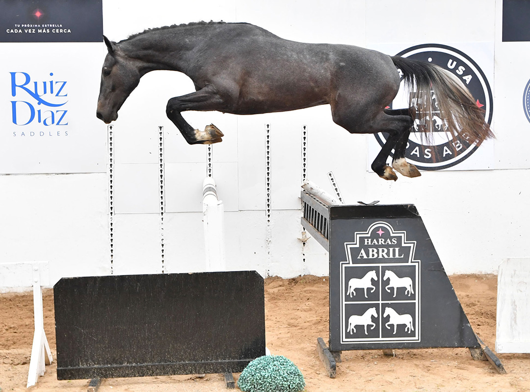 08-ABRIL-PILOTE_01