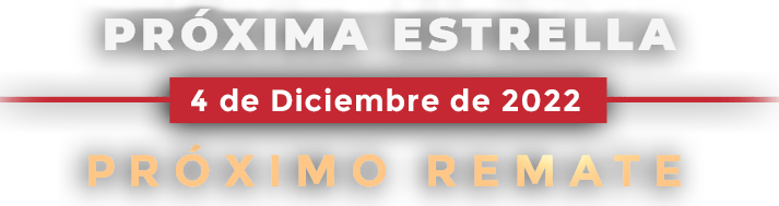 txt-banner Tu próxima estrella cada vez mas cerca - Remate online