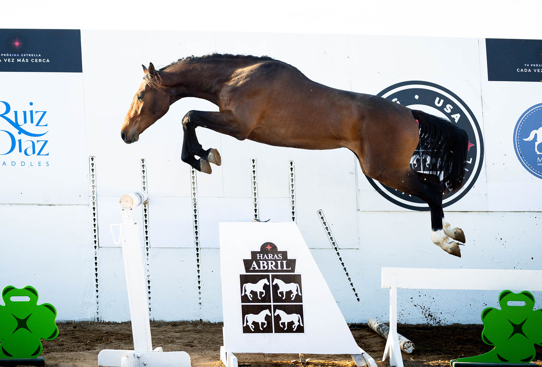 11-ABRIL-QONECTICUT-SALTO