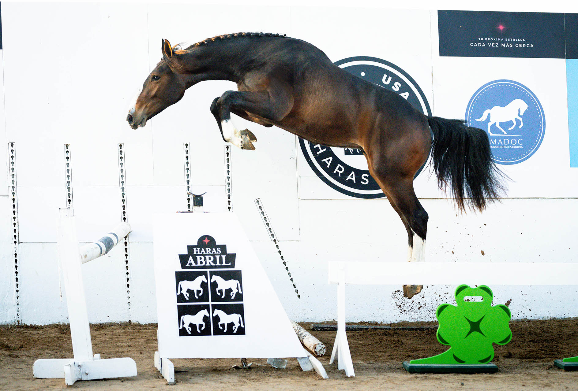 14-ABRIL-QANTACHABLE-SALTO