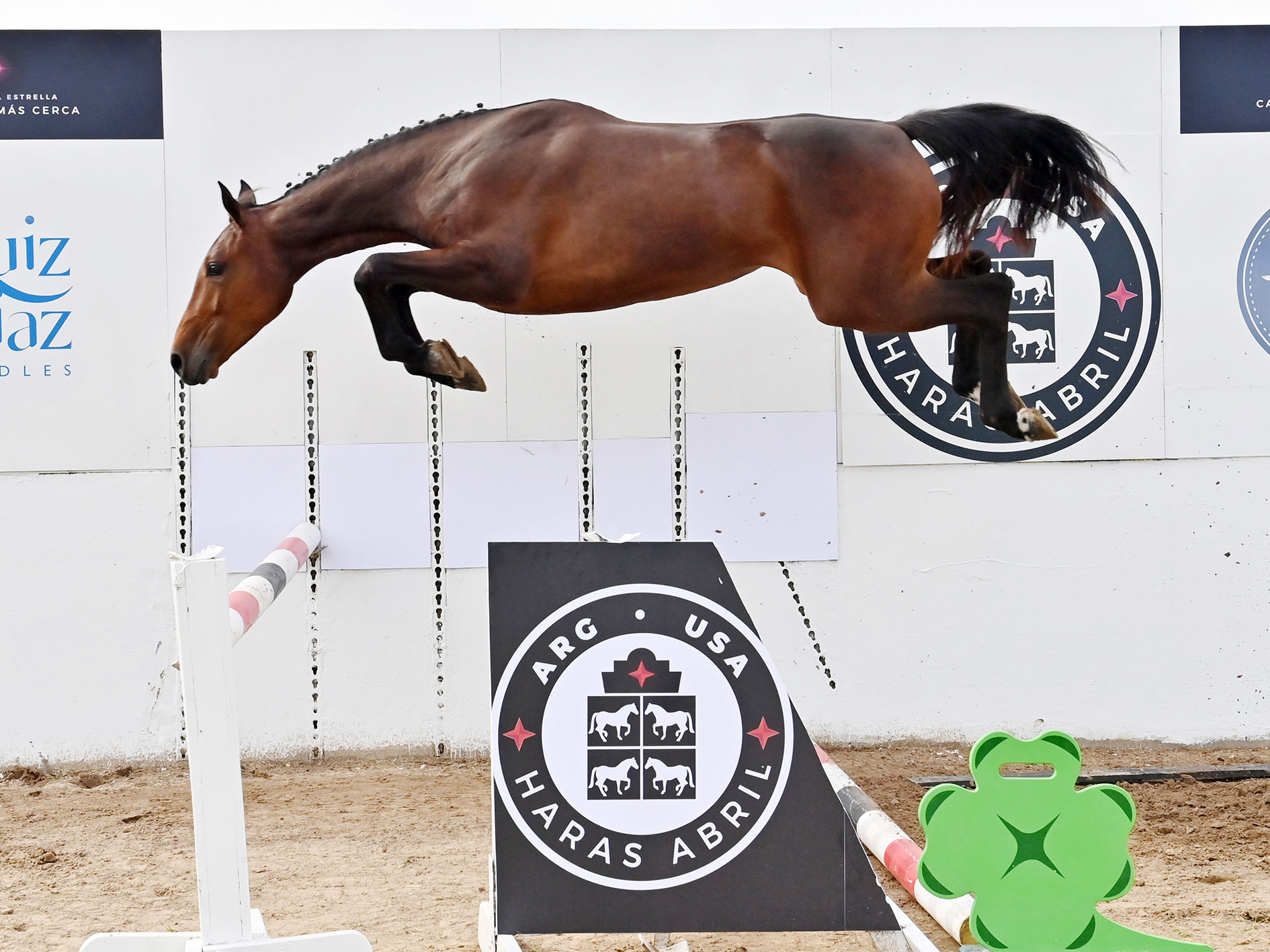 13-ABRIL-RIMA-SALTO