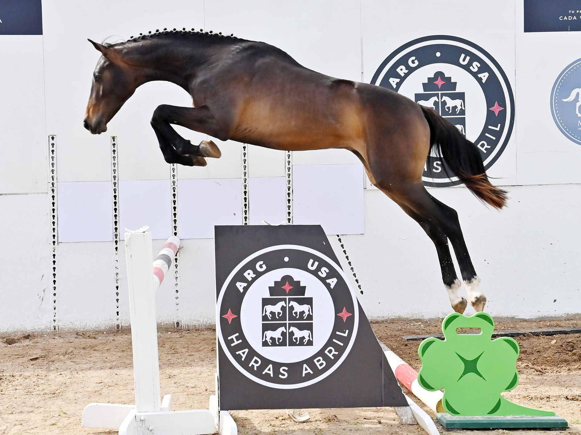 14-ABRIL-RITO-SALTO