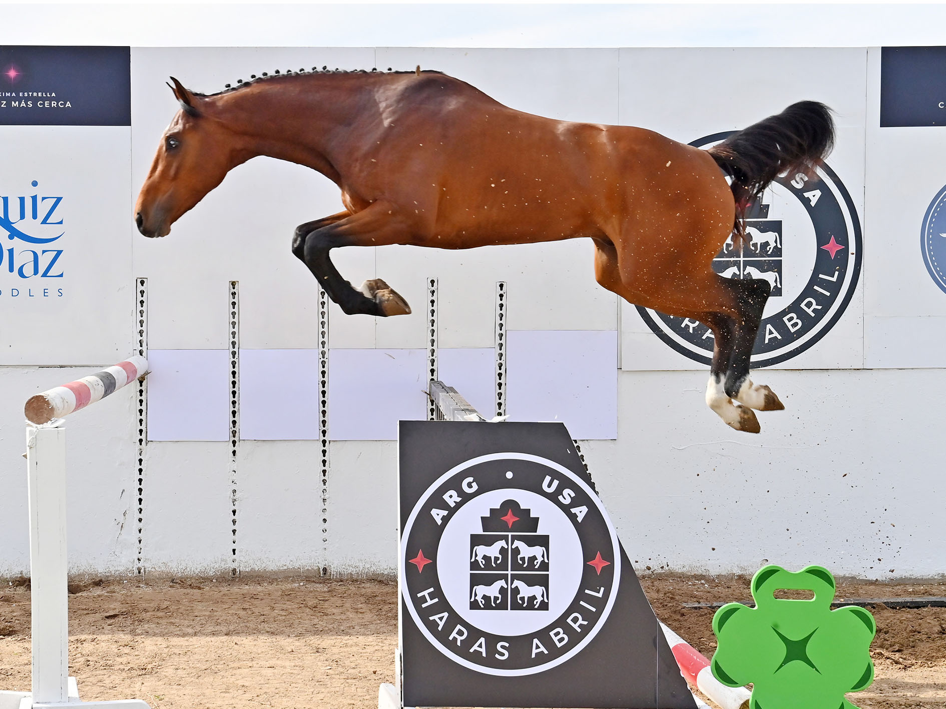 15-ABRIL-QUILDOBRE-SALTO