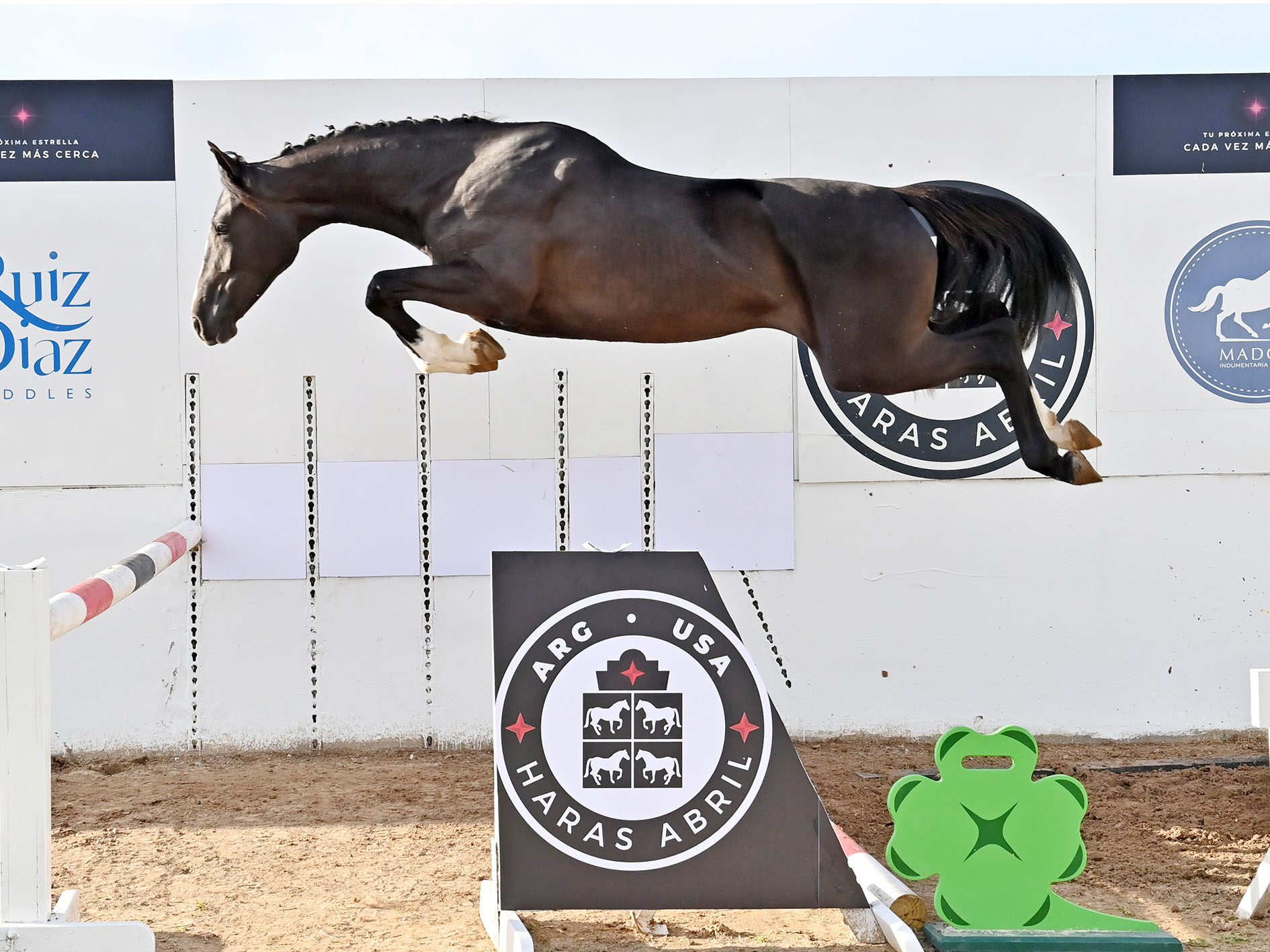 5-ABRIL-RICLINA-SALTO