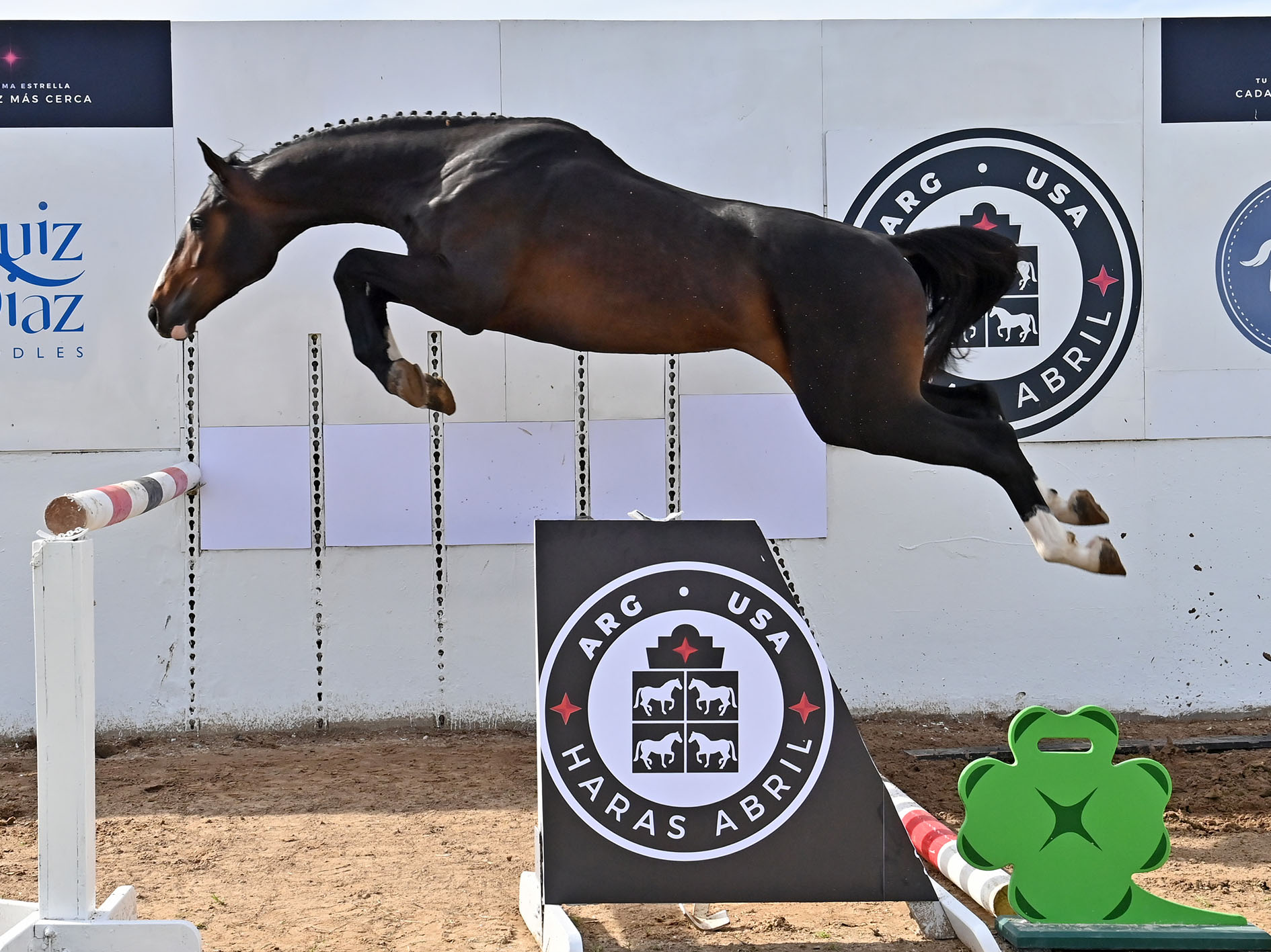 6-ABRIL-RIBALOU-SALTO